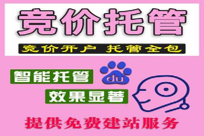 竞价排名优化策略案例分析